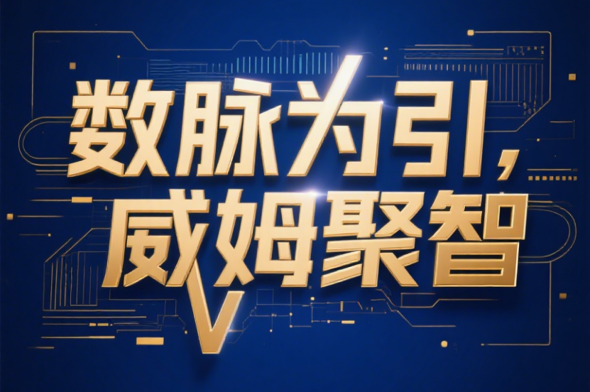 数脉为引，威姆聚智！